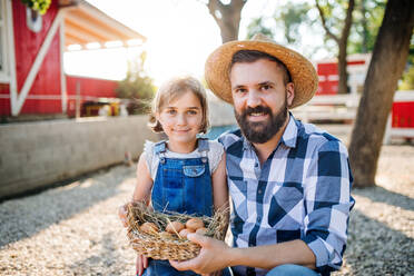 A father with small daughter outdoors on family farm, holding basket with eggs. - HPIF22313