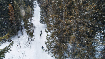 Luftaufnahme von Mountainbikern, die auf einer verschneiten Straße im Wald im Winter fahren. - HPIF22344