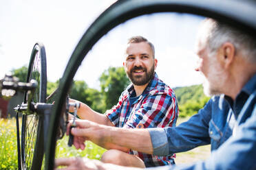 Ein erwachsener Hipster-Sohn und ein älterer Vater reparieren an einem sonnigen Sommertag draußen ihr Fahrrad. - HPIF22537