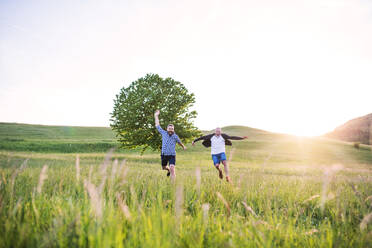 An adult hipster son with his senior father jumping on a meadow in nature at sunset. - HPIF22549