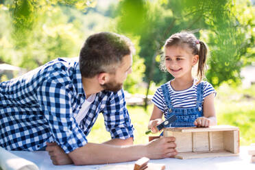 Father with a small daughter outside, making wooden birdhouse or bird feeder. - HPIF22567