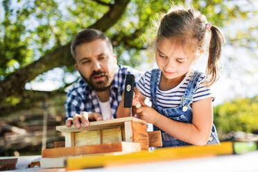 Father with a small daughter outside, making wooden birdhouse or bird feeder. - HPIF22570