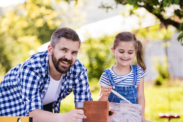 Mature father with a small daughter outside, painting. Wooden birdhouse or bird feeder making. - HPIF22578