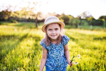 Ein Porträt eines kleinen glücklichen Mädchens im Garten im Frühling Natur. - HPIF22602