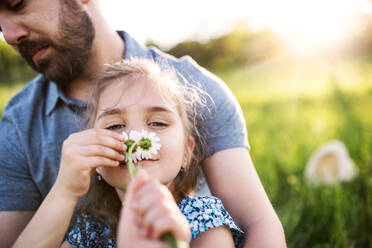 Vater mit kleiner Tochter, die sich in der sonnigen Frühlingsnatur vergnügen. - HPIF22612