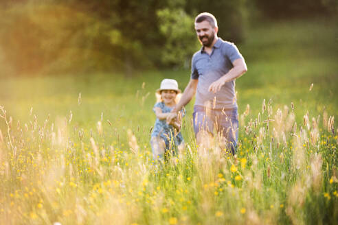 Vater mit kleiner Tochter bei einem Spaziergang in sonniger Frühlingsnatur. - HPIF22627