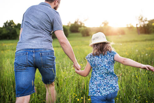 Vater mit kleiner Tochter bei einem Spaziergang in sonniger Frühlingsnatur, Rückansicht. - HPIF22630