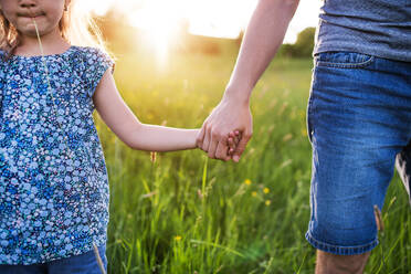 Unrecognizable father with a small daughter on a walk in spring nature at sunset. - HPIF22633