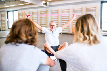 Senior physiotherapist working with two female patients. - HPIF22672