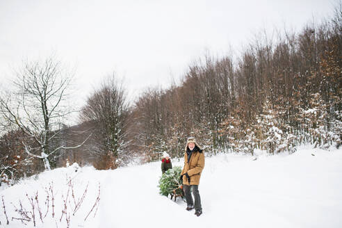 Großvater und ein kleines Mädchen holen einen Weihnachtsbaum im Wald. Wintertag. - HPIF22702