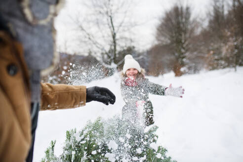 Unbekannter Großvater und kleines Mädchen holen einen Weihnachtsbaum im Wald und haben Spaß. Wintertag. - HPIF22704