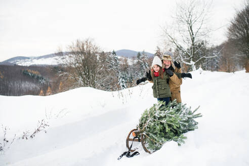 Großvater und ein kleines Mädchen holen einen Weihnachtsbaum im Wald und haben Spaß. Wintertag. - HPIF22708