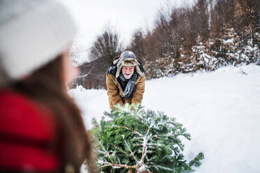 Großvater und ein nicht erkennbares kleines Mädchen holen einen Weihnachtsbaum im Wald. Wintertag. - HPIF22710