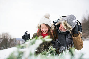 Großvater und ein kleines Mädchen holen einen Weihnachtsbaum im Wald. Wintertag. - HPIF22711