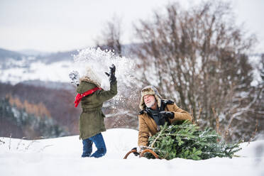 Großvater und ein kleines Mädchen holen einen Weihnachtsbaum im Wald und haben Spaß. Wintertag. - HPIF22717