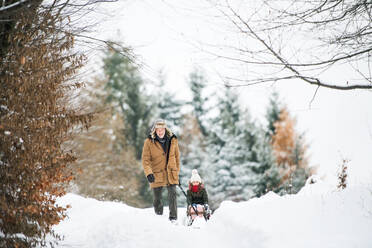 Älterer Großvater und kleines Mädchen beim Schlittenfahren. Ein Großvater zieht an einem Wintertag ein kleines Mädchen auf einem Schlitten. - HPIF22722