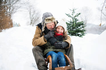 Älterer Großvater und ein kleines Mädchen beim Schlittenfahren an einem Wintertag. - HPIF22723