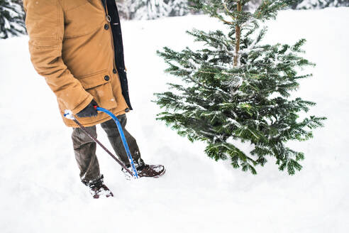 Unbekannter älterer Mann holt einen Weihnachtsbaum im Wald. Wintertag. - HPIF22730