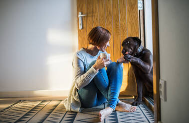 Eine junge Frau mit einer Tasse Kaffee, die zu Hause neben der Tür auf dem Boden sitzt und mit einem Hund spielt. Raum kopieren. - HPIF22912