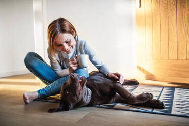 Eine junge Frau mit einer Tasse Kaffee sitzt zu Hause auf dem Boden und spielt mit einem Hund. - HPIF22915