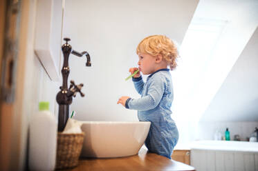 Niedliches Kleinkind beim Zähneputzen im Bad. Kleiner Junge steht auf einem Hocker vor dem Spiegel. - HPIF23036