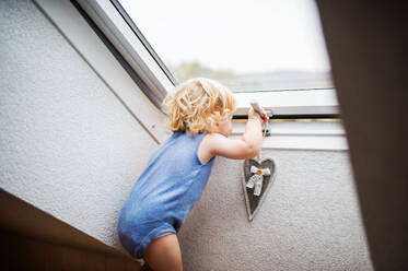 Kleines Kleinkind, das ein Fenster öffnet, häuslicher Unfall, gefährliche Situation zu Hause. - HPIF23050