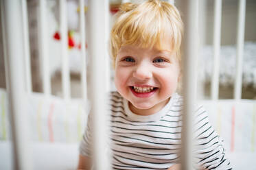 Cute toddler boy in a cot in the bedroom. Close up. - HPIF23110