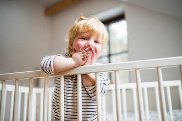 Cute happy toddler boy standing in a cot at home. - HPIF23111