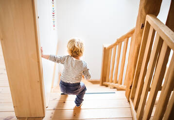 Kleines Kleinkind, das die Treppe hinuntergeht. Häuslicher Unfall. Gefährliche Situation zu Hause. Kindersicherheitskonzept. Rückansicht. - HPIF23127