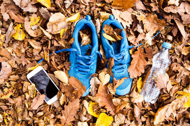 Blaue Turnschuhe, Smartphone und Wasserflasche auf bunten Blättern auf dem Boden. Herbst Natur. - HPIF23153