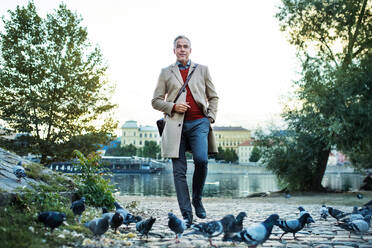 Mature handsome businessman walking by river Vltava in city of Prague, a flock of pigeons in front of him. Copy space. - HPIF23178