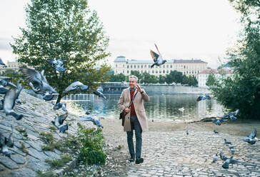Mature handsome businessman walking by river Vltava in city of Prague, dispersing a flock of pigeons.Copy space. - HPIF23179