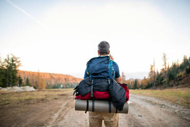 Rückansicht eines reifen Mannes mit Rucksack beim Wandern, der sein Smartphone benutzt. - HPIF23290