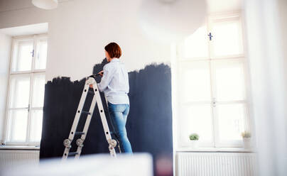 Germany, Cologne, Mature woman balancing on ladder during painting