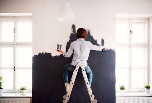 Rückansicht einer jungen, kreativen Frau, die eine Wand schwarz anstreicht. Ein Start-up für ein kleines Unternehmen. - HPIF23388