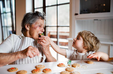 Glückliche ältere Urgroßmutter mit einem kleinen Jungen im Kleinkindalter, der zu Hause Kuchen backt und isst. - HPIF23618