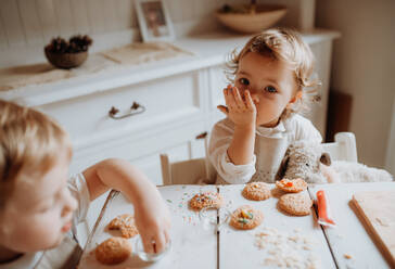 Zwei glückliche Kleinkinder, die zu Hause am Tisch sitzen und Kuchen dekorieren und essen. - HPIF23625