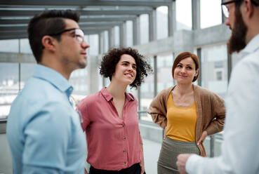 Eine Gruppe fröhlicher junger Geschäftsleute steht im Büro und unterhält sich. - HPIF23717