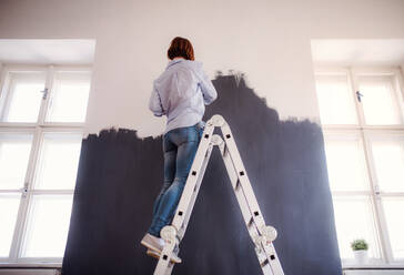 Germany, Cologne, Mature woman balancing on ladder during painting gable  roof stock photo