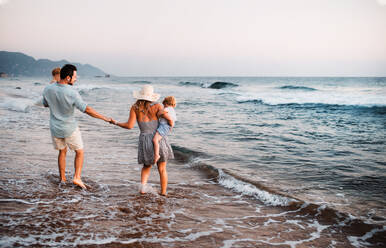 A rear view of young family with two toddler children walking on beach on summer holiday. - HPIF23835