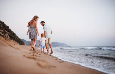 A rear view of young family with two toddler children walking on beach on summer holiday. - HPIF23844