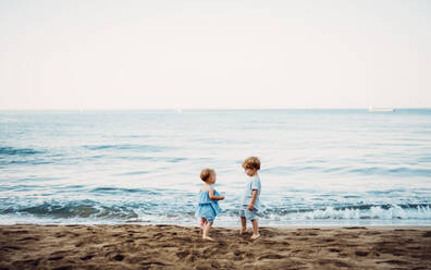 Two toddler children playing on sand beach on summer family holiday. - HPIF23859