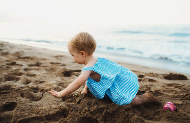 A close-up of small toddler girl crawling on beach on summer holiday, playing. Copy space. - HPIF23871