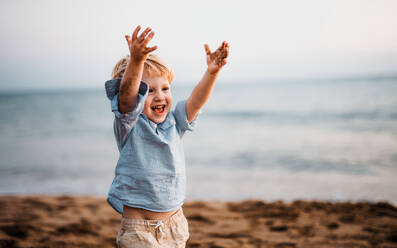 A cheerful small toddler boy standing on beach on summer holiday, having fun. - HPIF23972