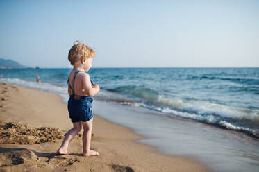 A cute small toddler boy with shorts walking on sand beach on summer holiday. Copy space. - HPIF23986