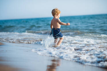 A cute small toddler boy with shorts walking in water on beach on summer holiday. - HPIF23990