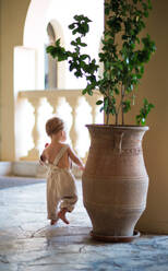 A rear view of small toddler girl walking around a big flower pot on a terrace on summer holiday. - HPIF23997