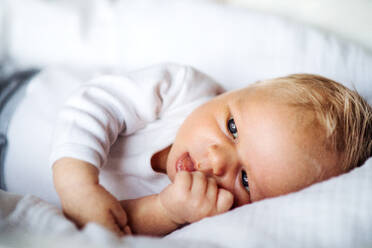 Eine Nahaufnahme eines süßen Neugeborenen zu Hause. - HPIF24087