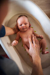 Draufsicht auf ein nicht erkennbares Elternteil, das ein glückliches neugeborenes Baby zu Hause badet. - HPIF24167