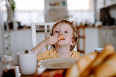 A front view of a happy toddler boy sitting at the table at home, eating. - HPIF24311